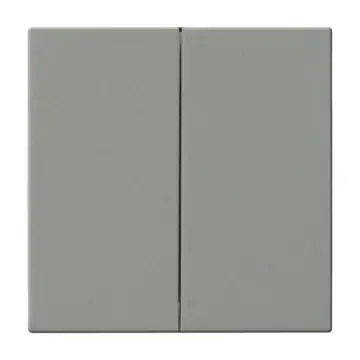 Busch Jaeger 6736 FoH-84 Bedieningswip 2-voudig voor serie Platform 63 Future linear Grijs metallic