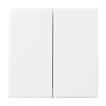 Busch Jaeger 6736 FoH-84 Friends of Hue Bedieningswip Future linear Studiowit 