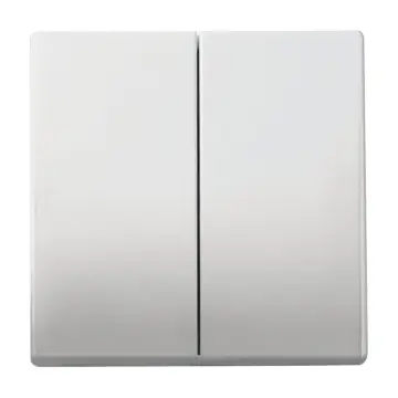 Busch Jaeger 6736 FoH-866 Bedieningswip 2-voudig voor serie Platform 63 Pure stainless steel