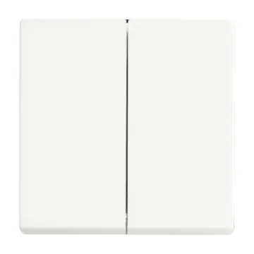 Busch Jaeger 6736 FoH-884 Friends of Hue Bedieningswip Future linear Studiowit mat