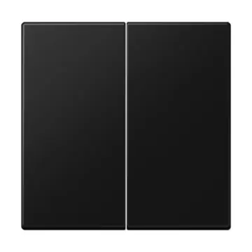 Jung FOHSLS550595SWM Afdekking voor Friends of Hue schakelaar LS range Grafietzwart Mat