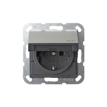 Gira 0454600 Systeem 55 Wandcontactdoos met randaarde 16A 250V met klapdeksel Edelstaal