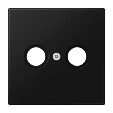 Jung LS 990 TV SWM Afdekking voor TV-FM aansluitdoos Grafietzwart mat