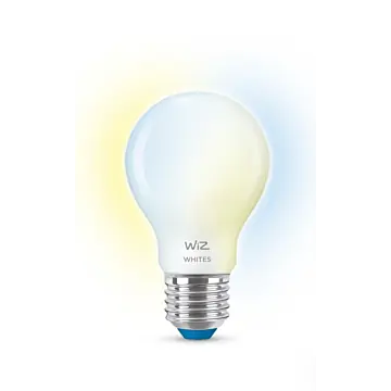 Wiz 929003008901 Warm tot koelwit licht A60 E27 7W OP=OP