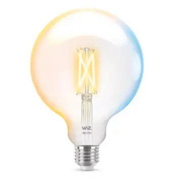 Wiz 929003017822 Filament Globe Warm tot koelwit Licht E27 G125 7W