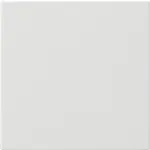 Gira 536003 System 3000 Opzetstuk bedieningselement System 55 Zuiver wit glanzend
