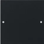 Gira 2181005 Systeem 55 Wippenset 1-voudig Zwart mat