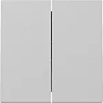 Gira 3295015 Systeem 55 Wip 2-voudig Grijs mat