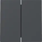 Gira 329528 Systeem 55 Wip 2-voudig Antraciet