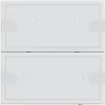 Gira 5002003 Tastsensor 4.95 Komfort 2-voudig voor Gira One en KNX Wit