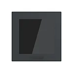 Busch Jaeger SD/U12.55.11-825 Trevion 2,4 Display 55 (Busch-balance SI)