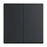Busch Jaeger 6736 FoH-885 Bedieningswip Future linear Zwart mat