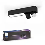 Philips 929003808401 Hue Centris 2-lichts plafondlamp Zwart