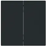 Busch Jaeger 6736 FoH-45M Bedieningswip 2-voudig voor serie Busch-art linear Zwart mat