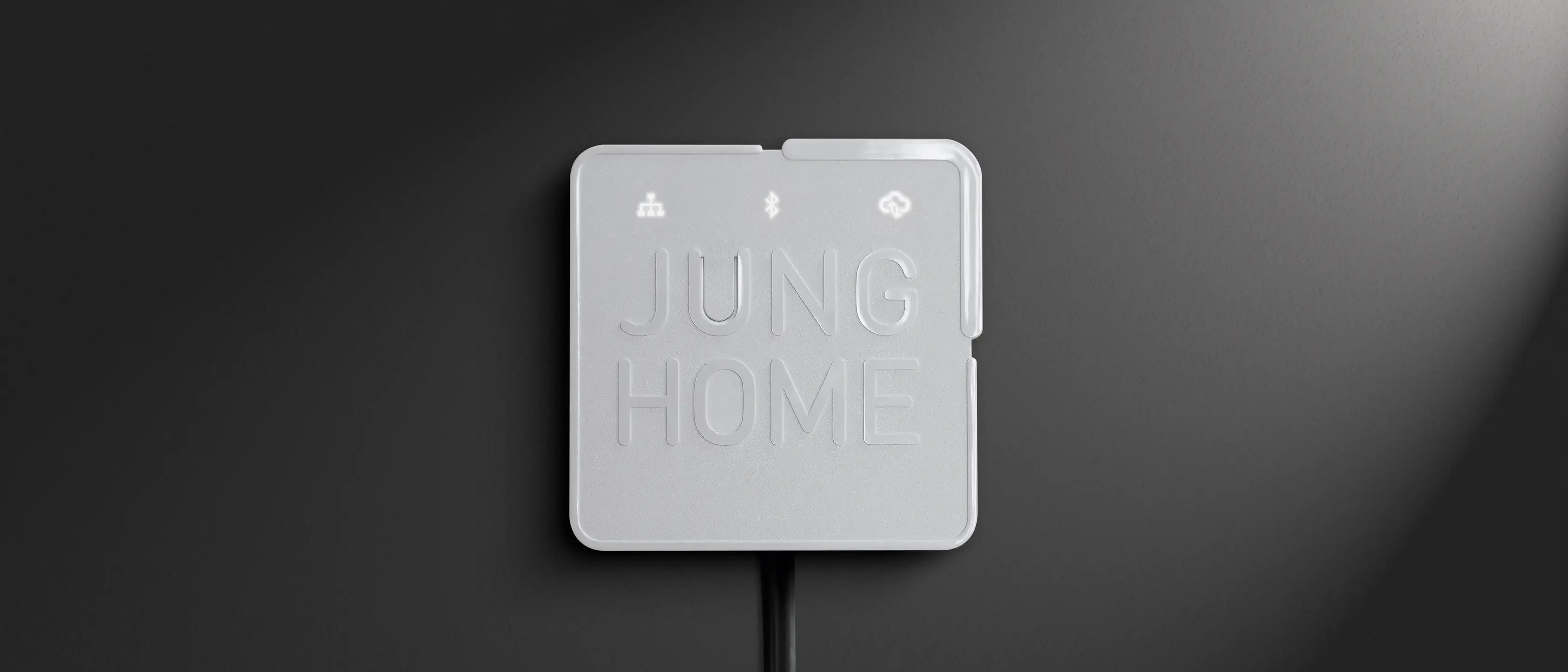 JUNG HOME gateway voor internet, bediening op afstand en spraakbesturing