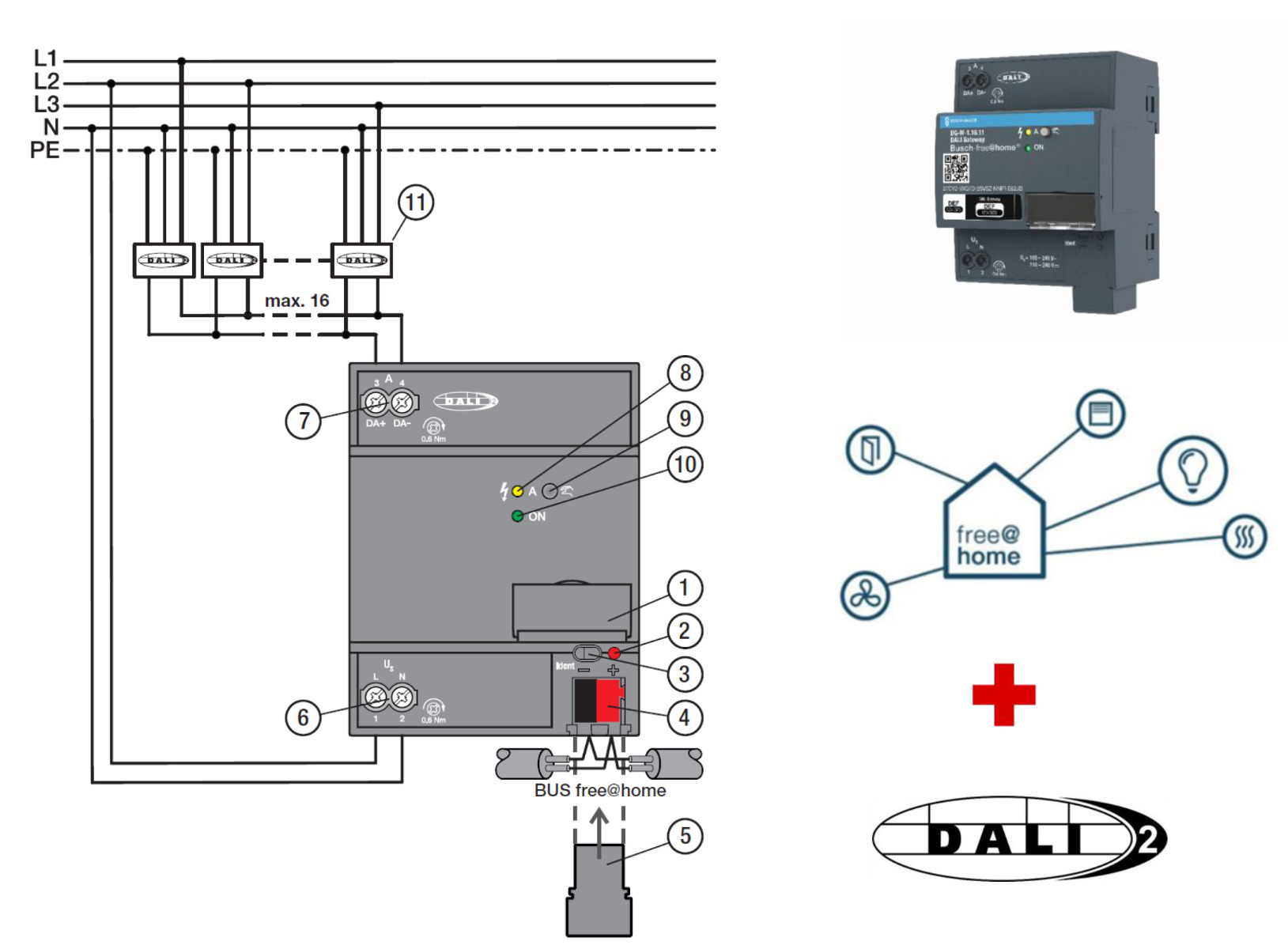 busch free@home dali gateway